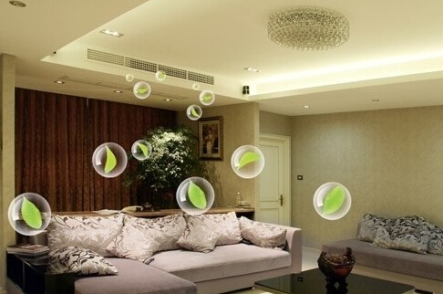 ������{�c�b�� 